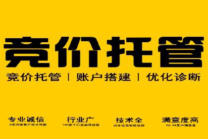 某某SEM服务公司成功案例：提升品牌曝光度